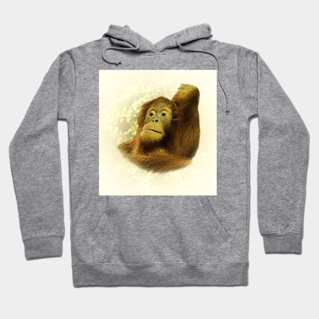 Orangutan Hoodie by Guardi